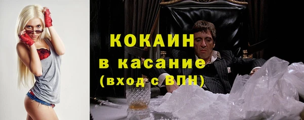 стаф Зеленокумск