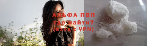 стаф Зеленокумск