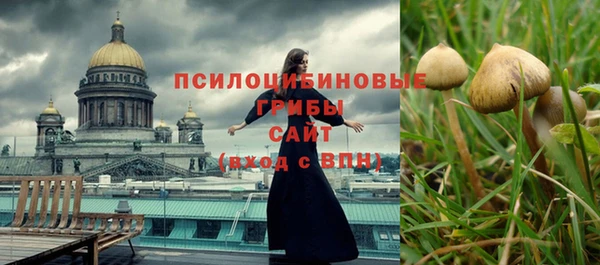 индика Заволжье