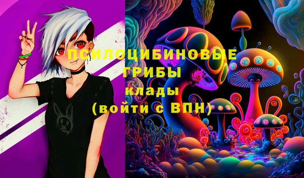 стаф Зеленокумск
