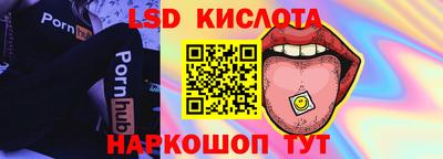 прущие грибы Абинск