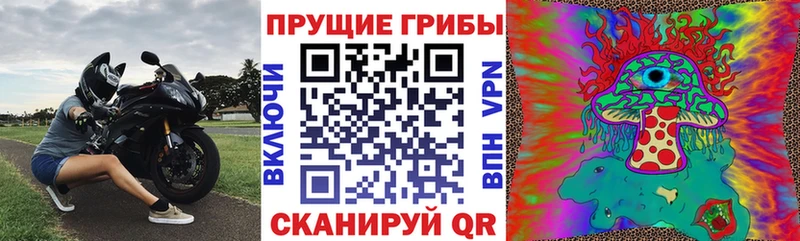 Галлюциногенные грибы Magic Shrooms  Купить где  Шахты 