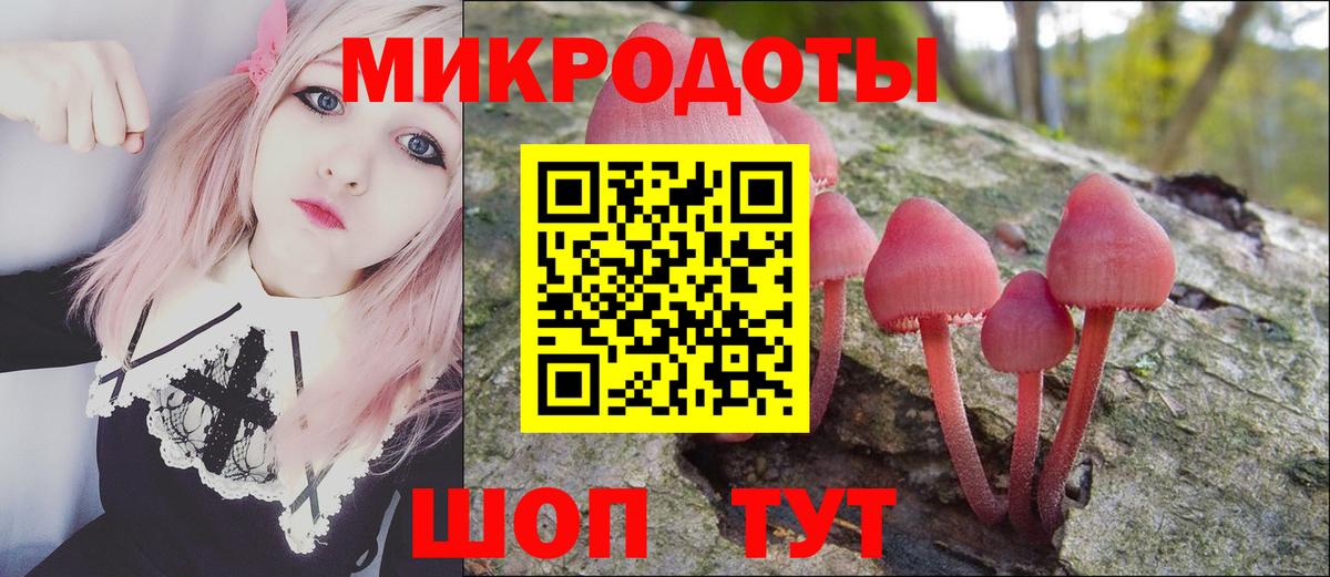 Псилоцибиновые грибы Magic Shrooms Шахты