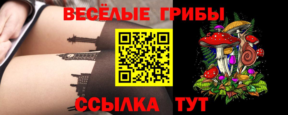 Псилоцибиновые грибы Psilocybine cubensis Шахты