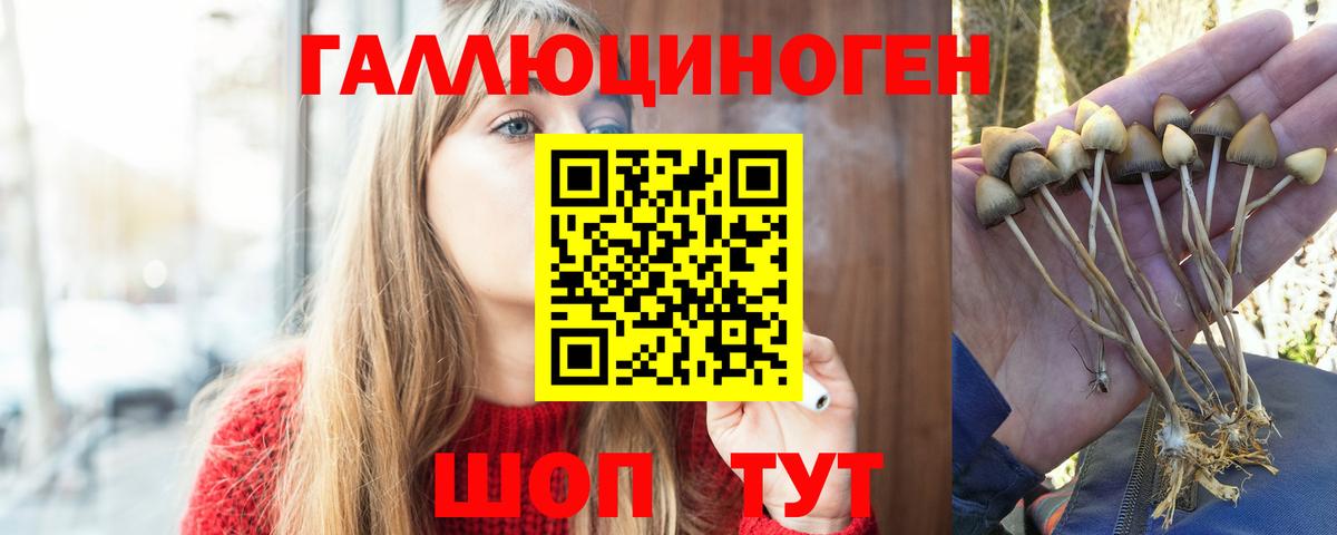 Шахты  Галлюциногенные грибы ЛСД  что такое   Псилоцибиновые грибы мухоморы  Вход с VPN 