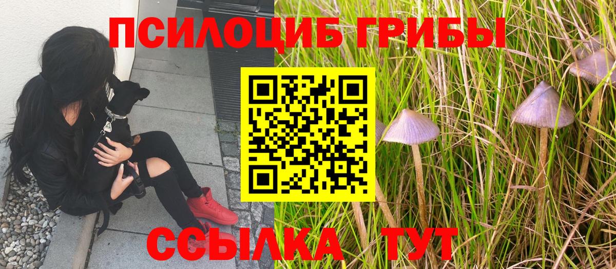 Псилоцибиновые грибы прущие грибы  Галлюциногенные грибы GOLDEN TEACHER  цена наркотик  Шахты  Вход с VPN 
